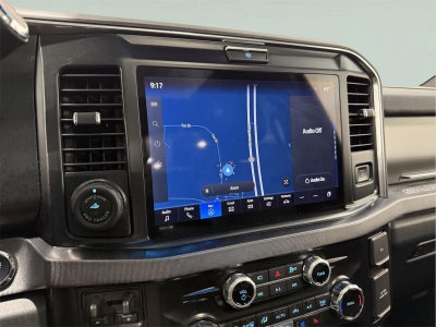 2025 Ford Super Duty F-250 Platinum