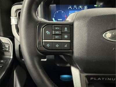 2025 Ford Super Duty F-250 Platinum