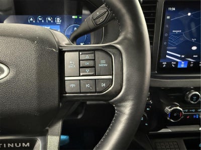 2025 Ford Super Duty F-250 Platinum
