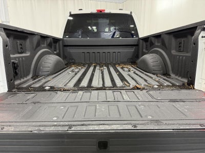 2025 Ford Super Duty F-250 Platinum