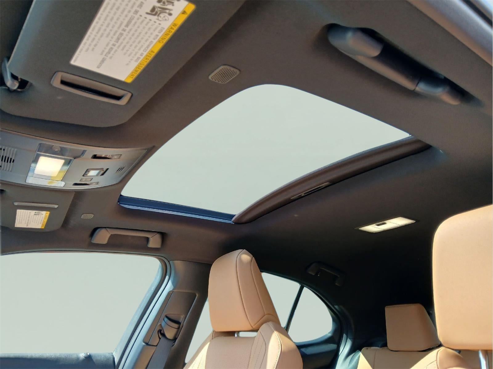 2025 Lexus UX UX 300h