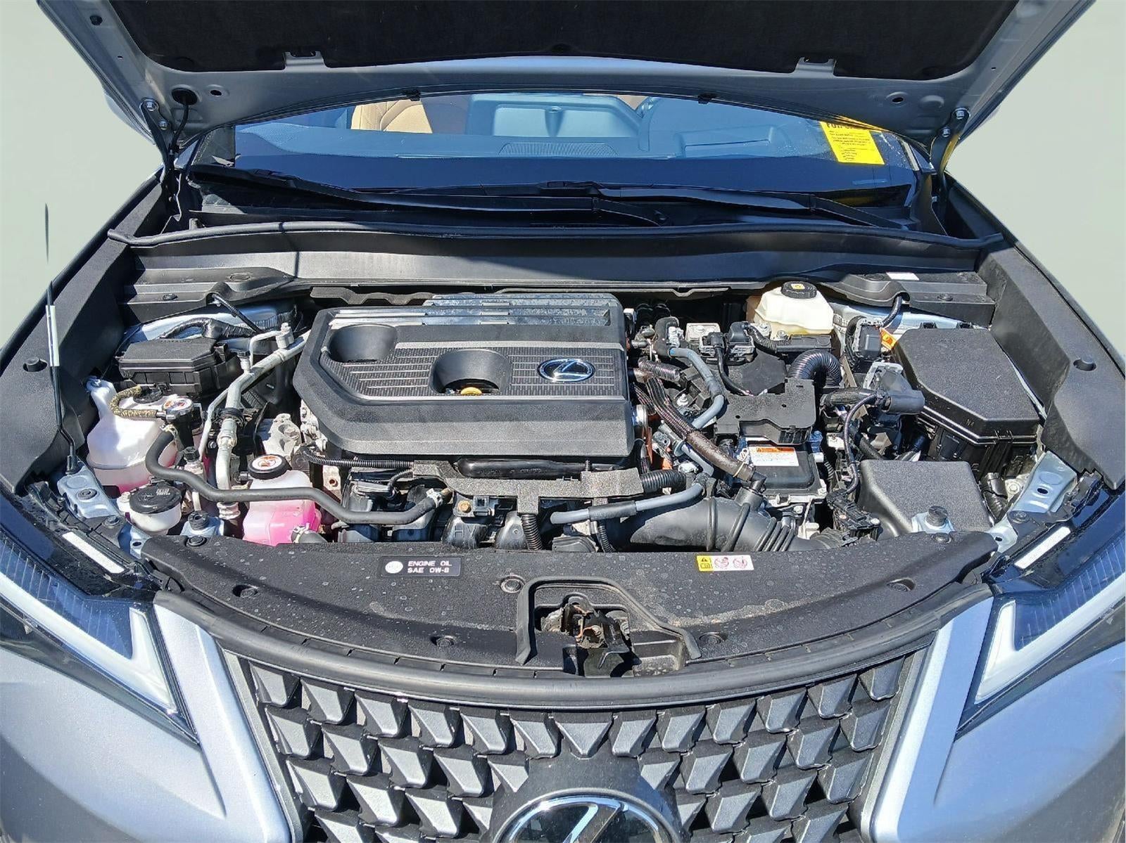 2025 Lexus UX UX 300h