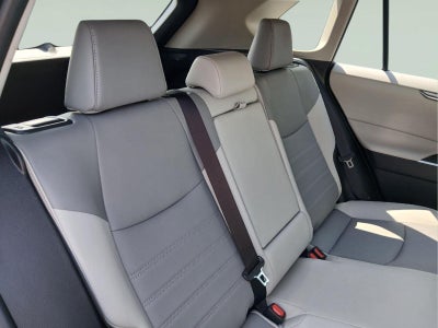 2025 Toyota Rav4 Hybrid XLE Premium