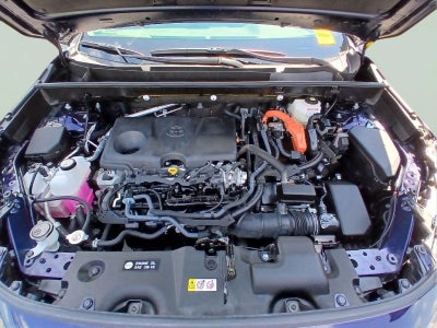 2025 Toyota Rav4 Hybrid XLE Premium