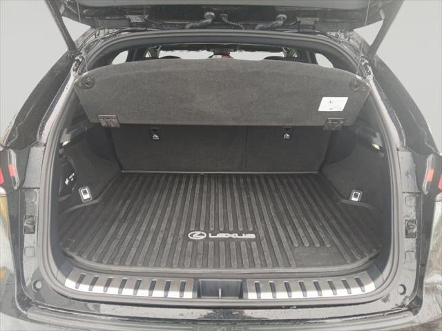 2020 Lexus NX 300 NX 300 F SPORT