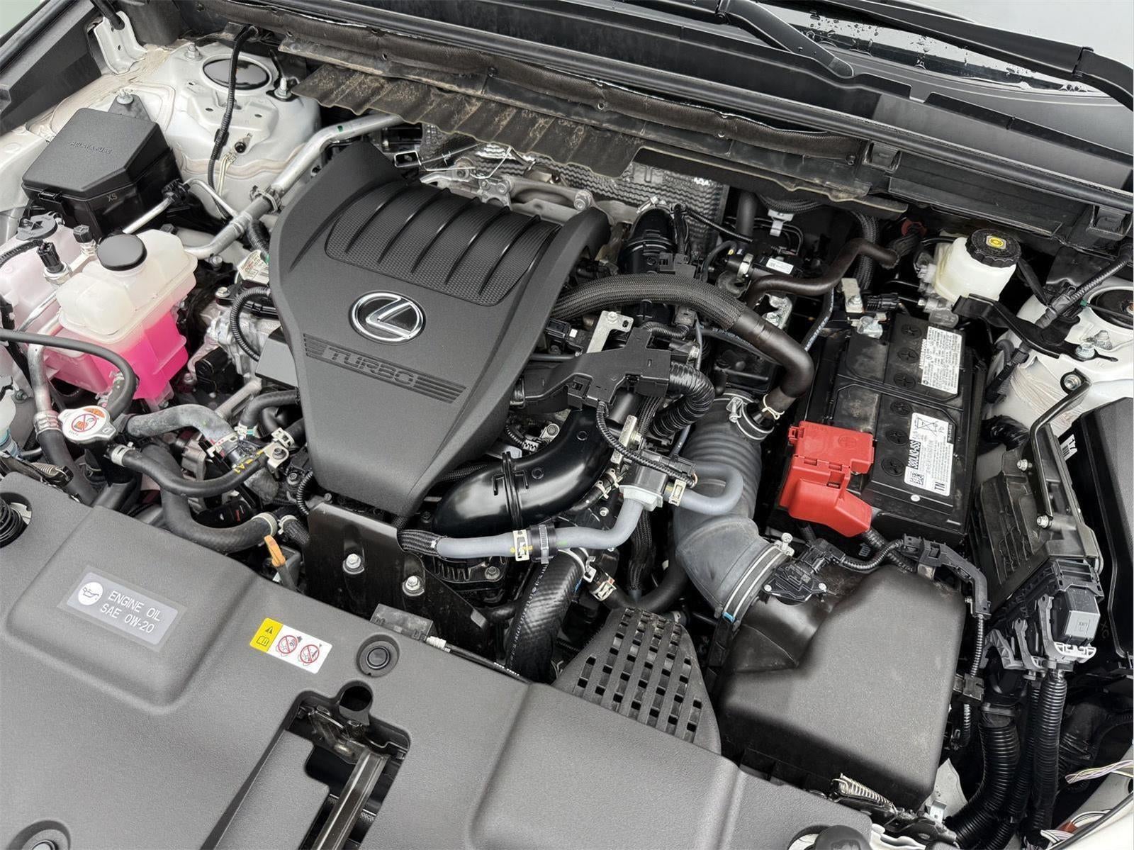 2024 Lexus NX 350 AWD