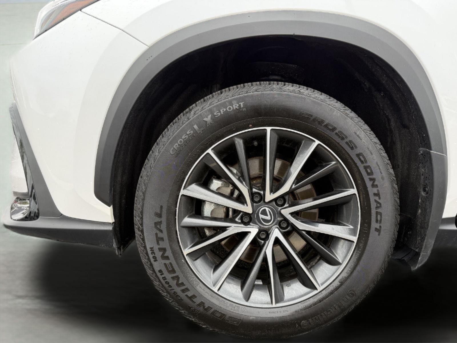 2024 Lexus NX 350 AWD