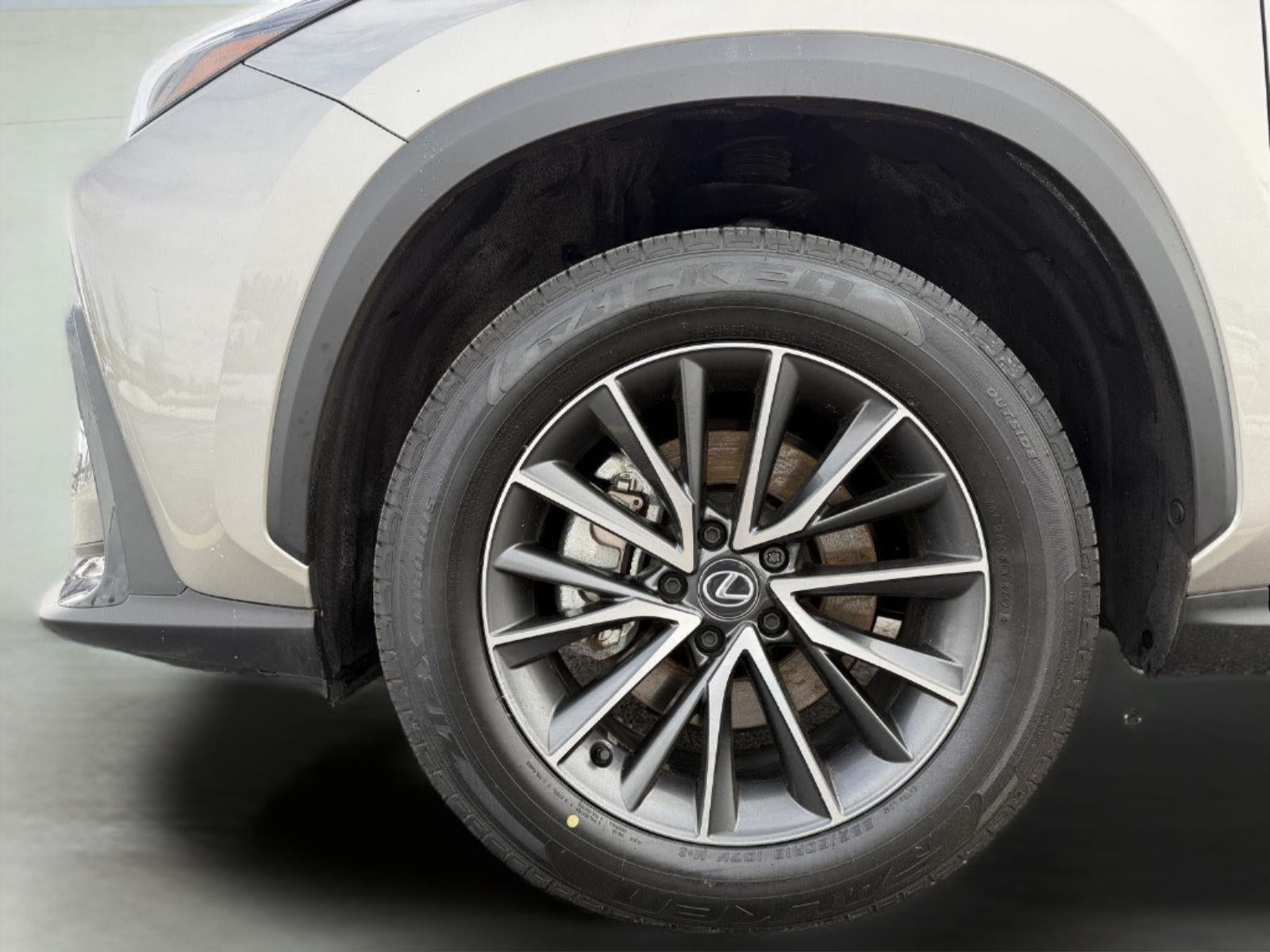 2025 Lexus NX NX 350 Premium