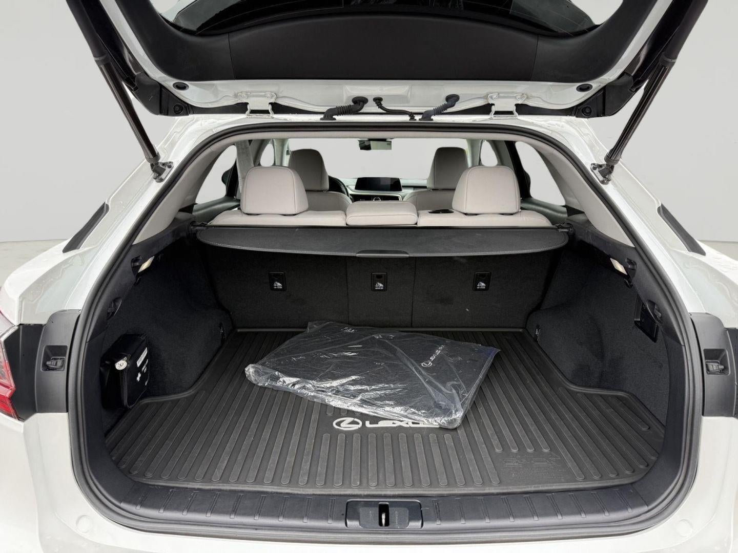 2021 Lexus RX RX 350