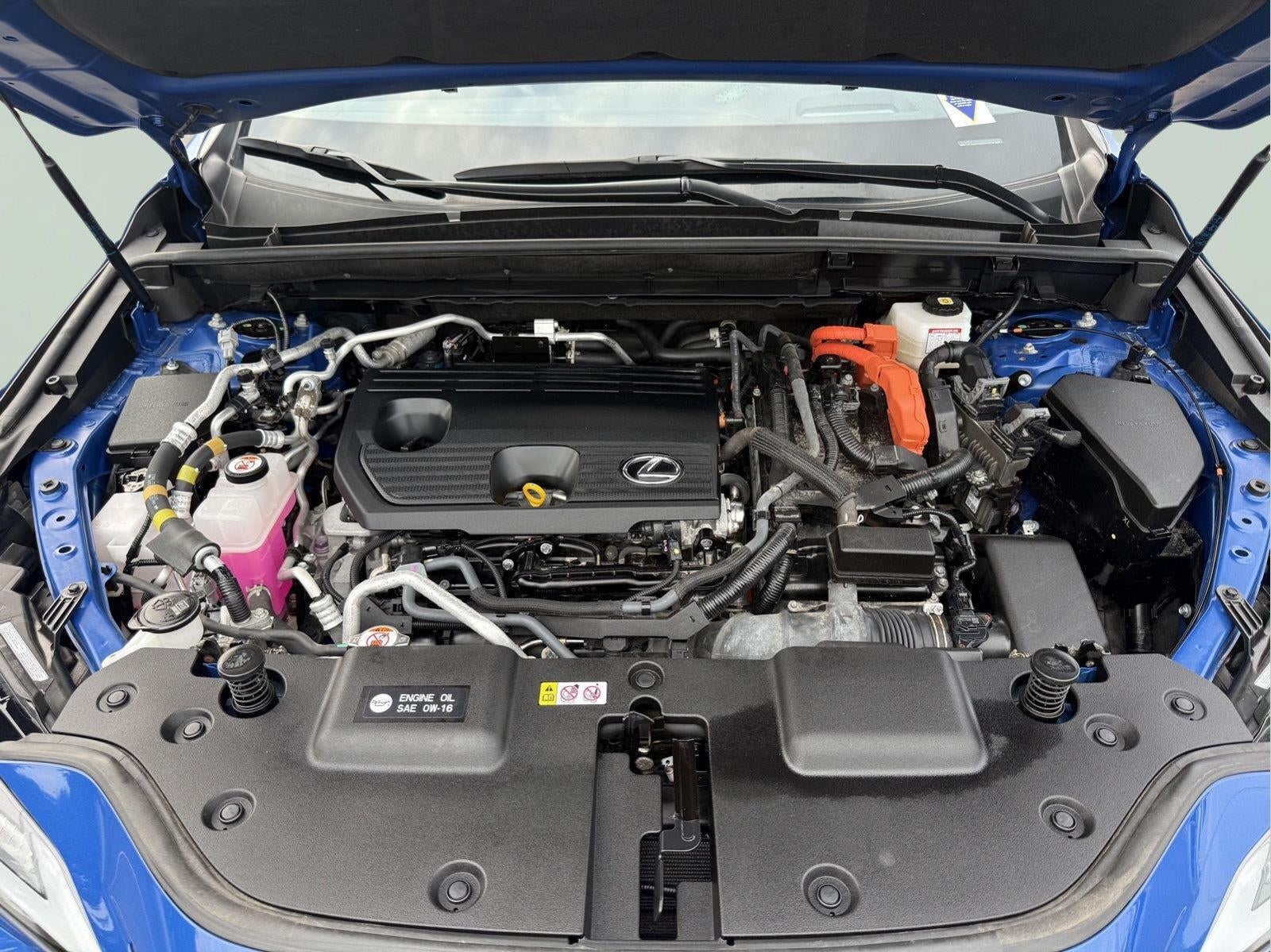 2024 Lexus NX AWD