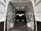 2025 Mercedes-Benz Sprinter 2500 High Roof 4-Cyl Diesel HO